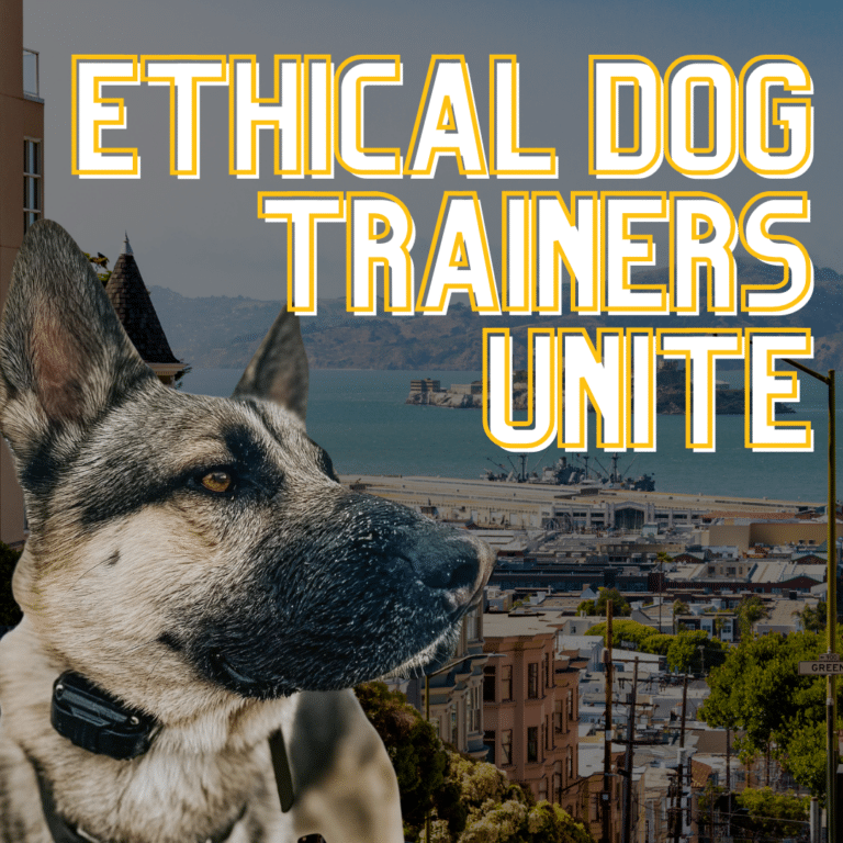 Ethical Dog Trainers Against the E-Collar Ban, Get Involved and Sign Petition