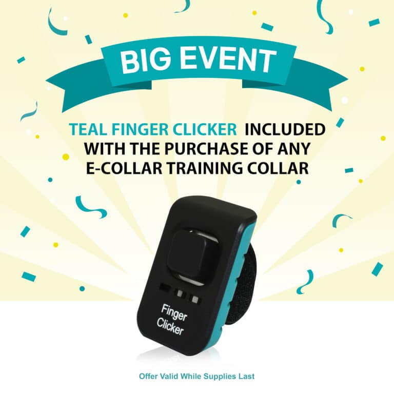 E-Collar Educator EZ-900 / EZ-902 Dog Training System – 1/2 Mile Range, Waterproof, Rechargeable