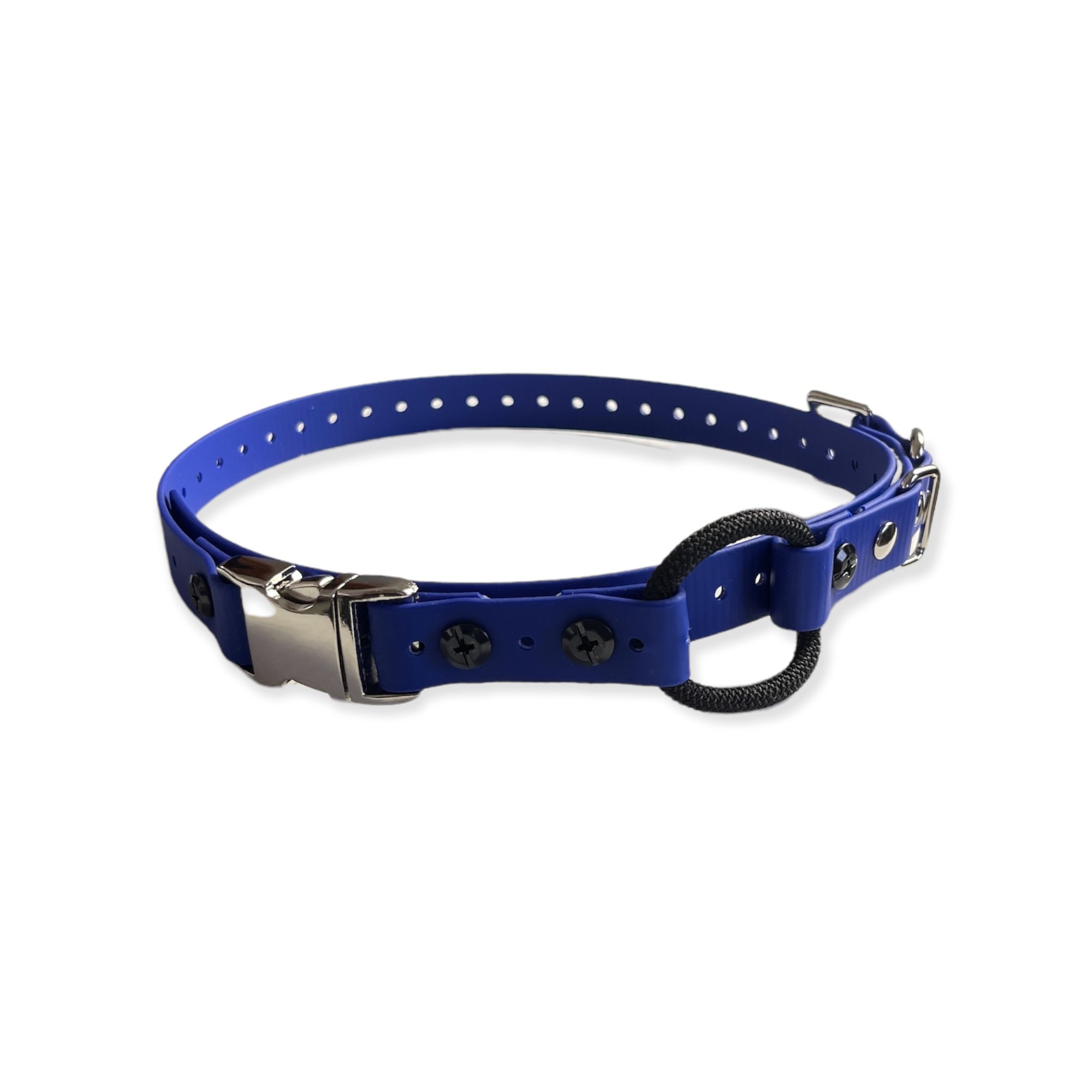 Blue Dog Collar