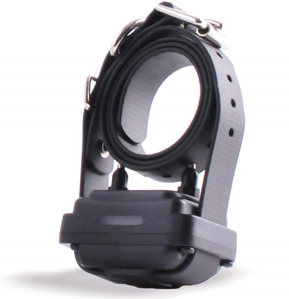 RX-1000 Collar/Receiver