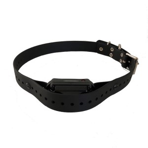 Concealment Collars