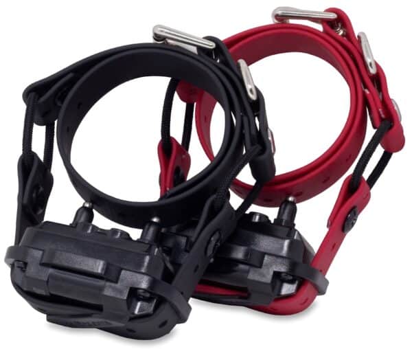 3/4" Double Mini Bungee Collar Strap for Small Dogs - Image 6