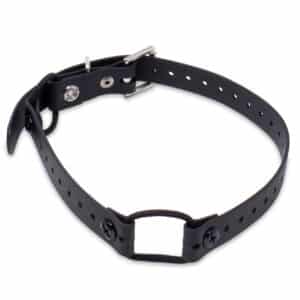 3/4" Double Mini Bungee Collar Strap for Small Dogs