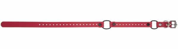 3/4" Double Mini Bungee Collar Strap for Small Dogs - Image 3