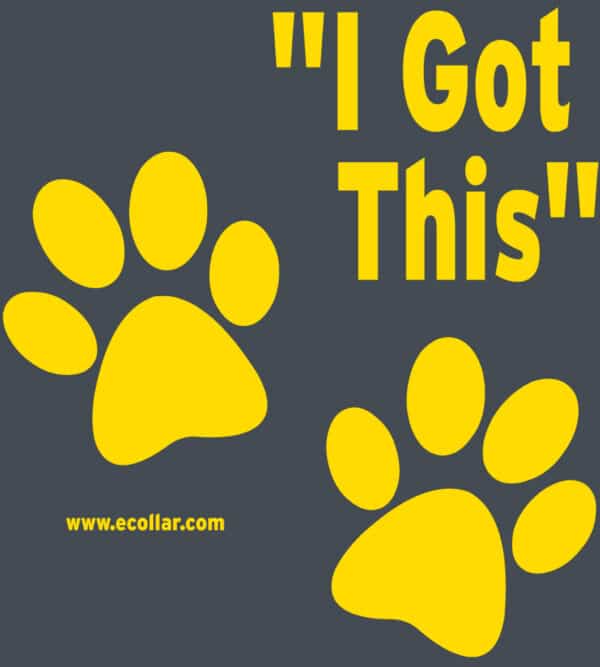 I Got This - T-Shirt - Image 2