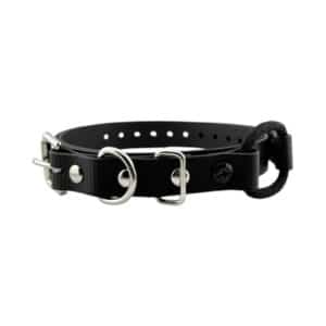 3/4" Bungee Collar Strap (33" Length)