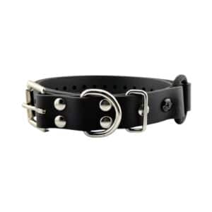 1" Bungee Collar Strap (33" Length)