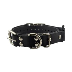 1" Quick Snap Bungee Collar Strap (33" Length)