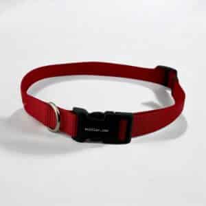 Red 3/4″ Nylon Collar