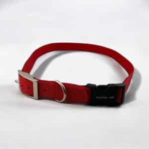 Red 1″ Nylon Collar With Buckle