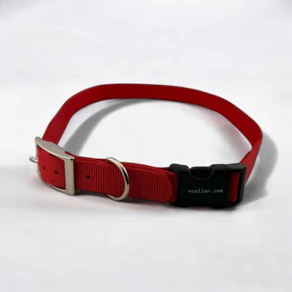 Red 1″ Nylon Collar With Buckle