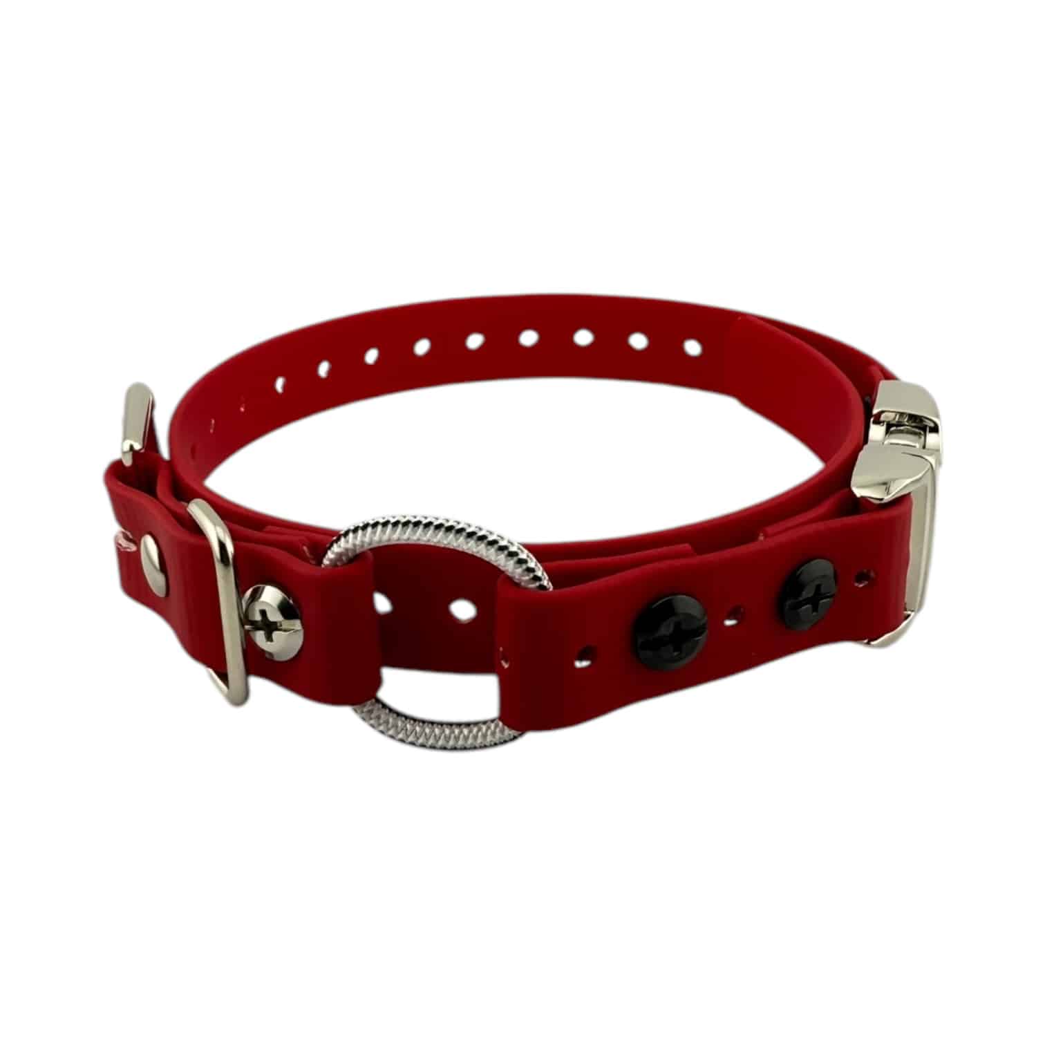Very small dog collars hotsell