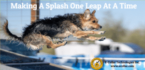 DOCK DIVING DOG BANNER 3X5