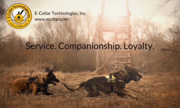 K9 UNIT BANNER 3X5
