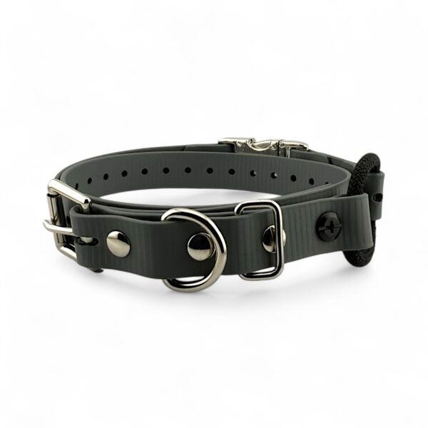 3/4" Quick-Snap Bungee Collar Strap - Image 14