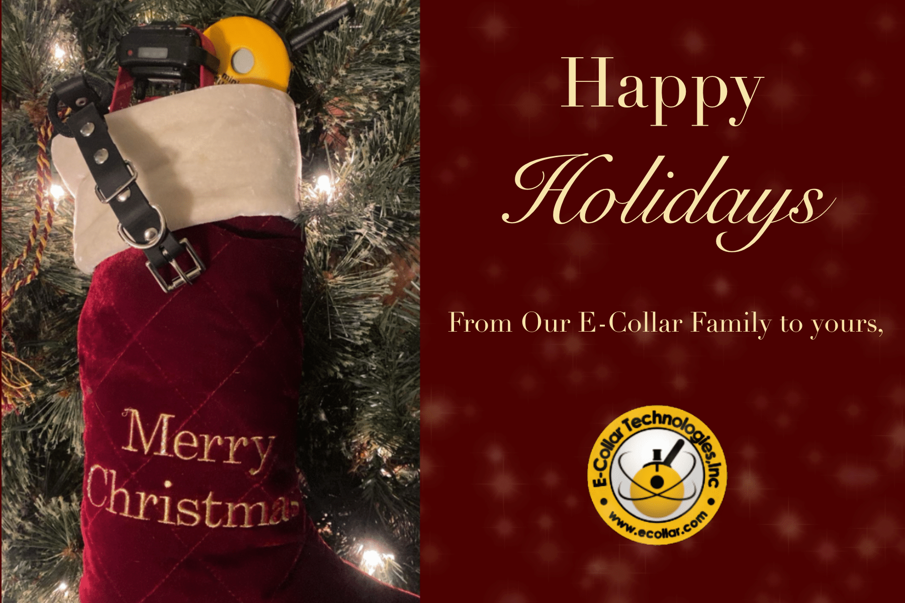 2025 Holiday Gift